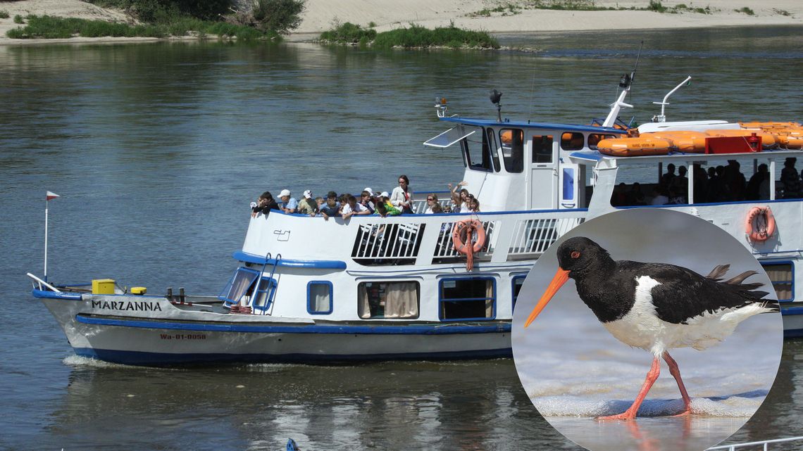 Kazimierski Park czekają zmiany. Sprawdzą co tam mieszka i rośnie