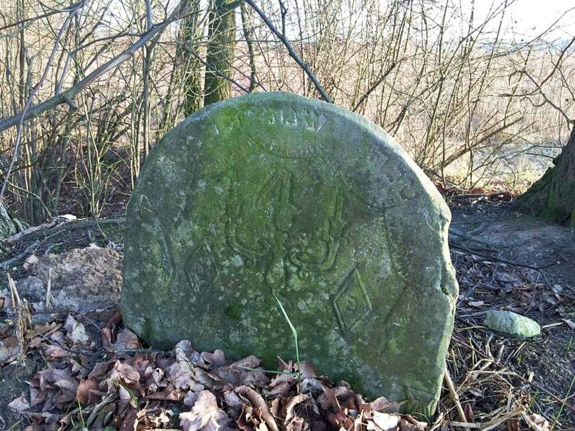 Kazimierz Dolny. Macewy wracają na kirkut