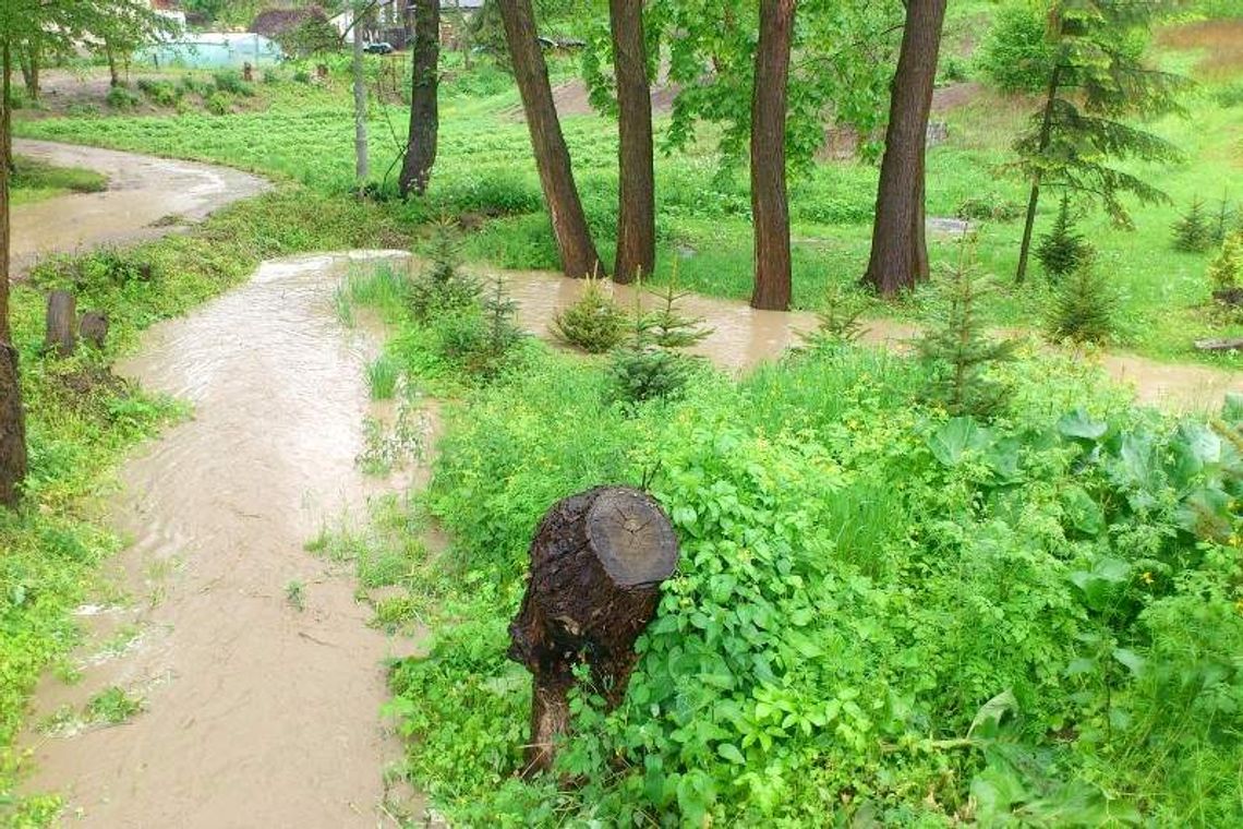 Kazimierz Dolny. Powstrzymać groźny Grodarz Kazimierz Dolny. Powstrzymać groźny Grodarz