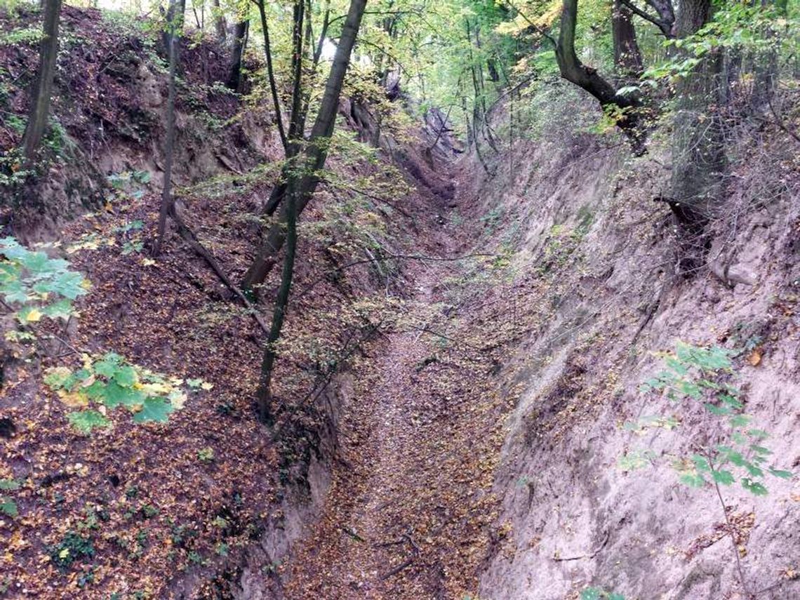 Kazimierz Dolny. Wąwóz piękny, ale zaśmiecony