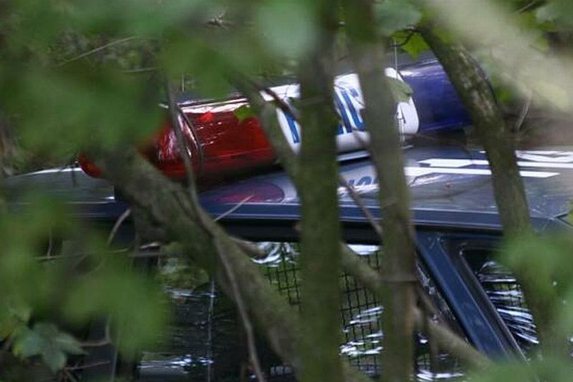 Kaznów: Mieszkaniec znalazł czaszkę w lesie