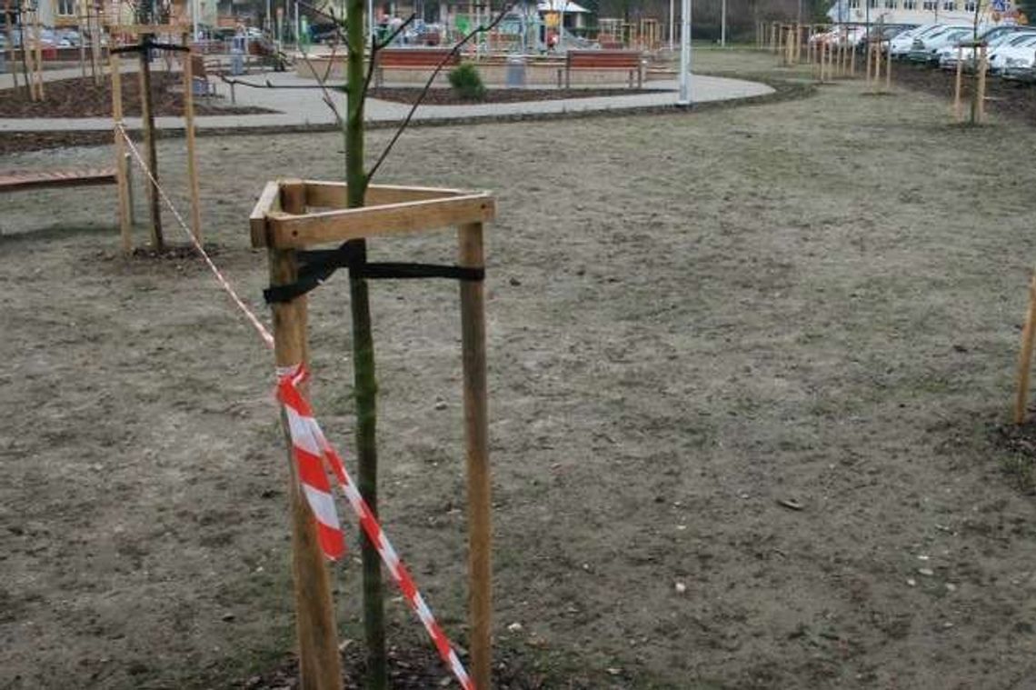 Kiedy będzie zielono na nowym skwerze w Puławach