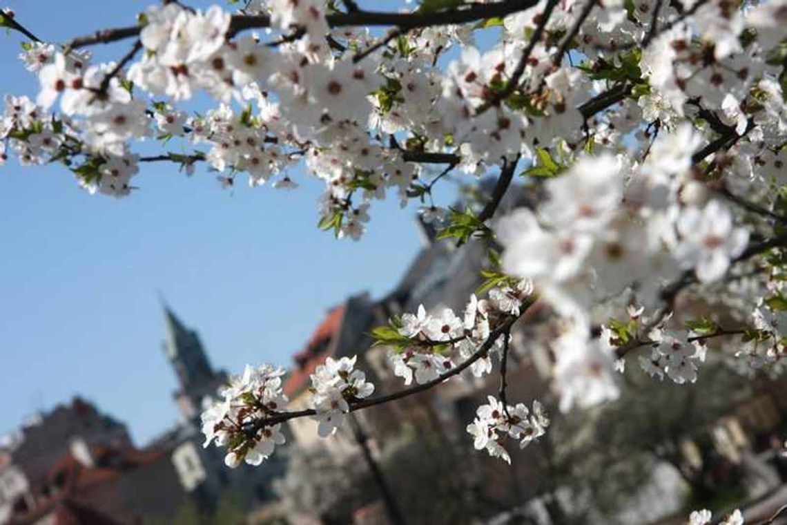 Kiedy wiosna wreszcie pokona zimę?