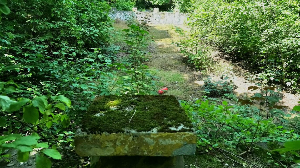 Kiedyś mieszkańcy chcieli odnowy tego miejsca. Czy basen wróci na Tatary?