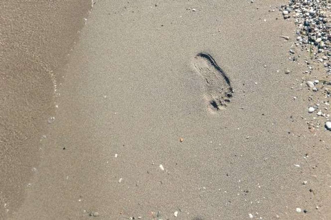 Kiepskie warunki sanitarne na koloniach. Lubelski sanepid wylicza uchybienia