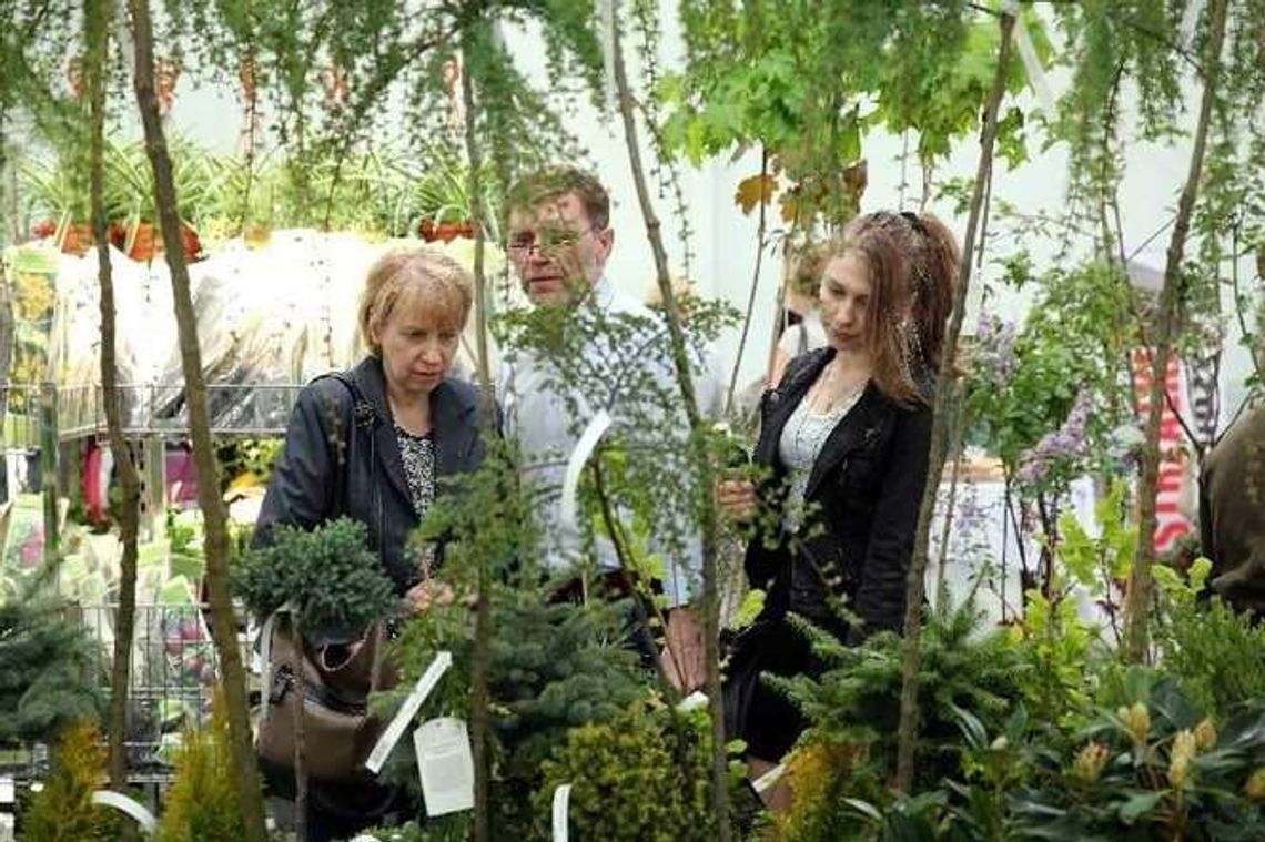 Kiermasze kwiatów i krzewów w Sitnie i Końskowoli Kiermasze kwiatów i krzewów w Sitnie i Końskowoli