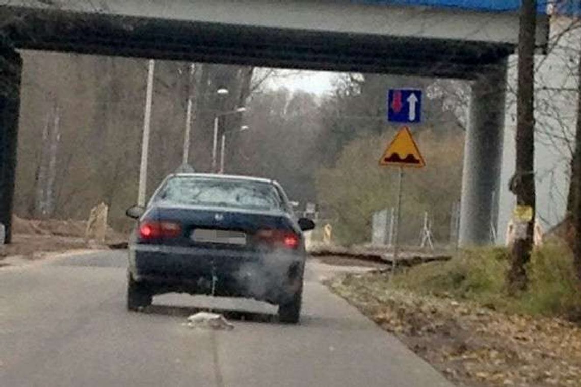 Kierowca odjechał z psem przywiązanym do haka. Weterynarz: "Mężczyzna był w szoku"