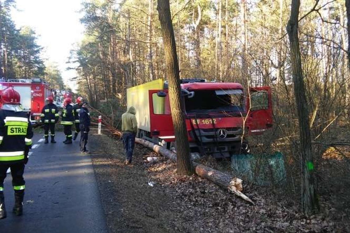 Kierowca zasnął, ciężarówka wjechała do rowu i uderzyła w drzewo