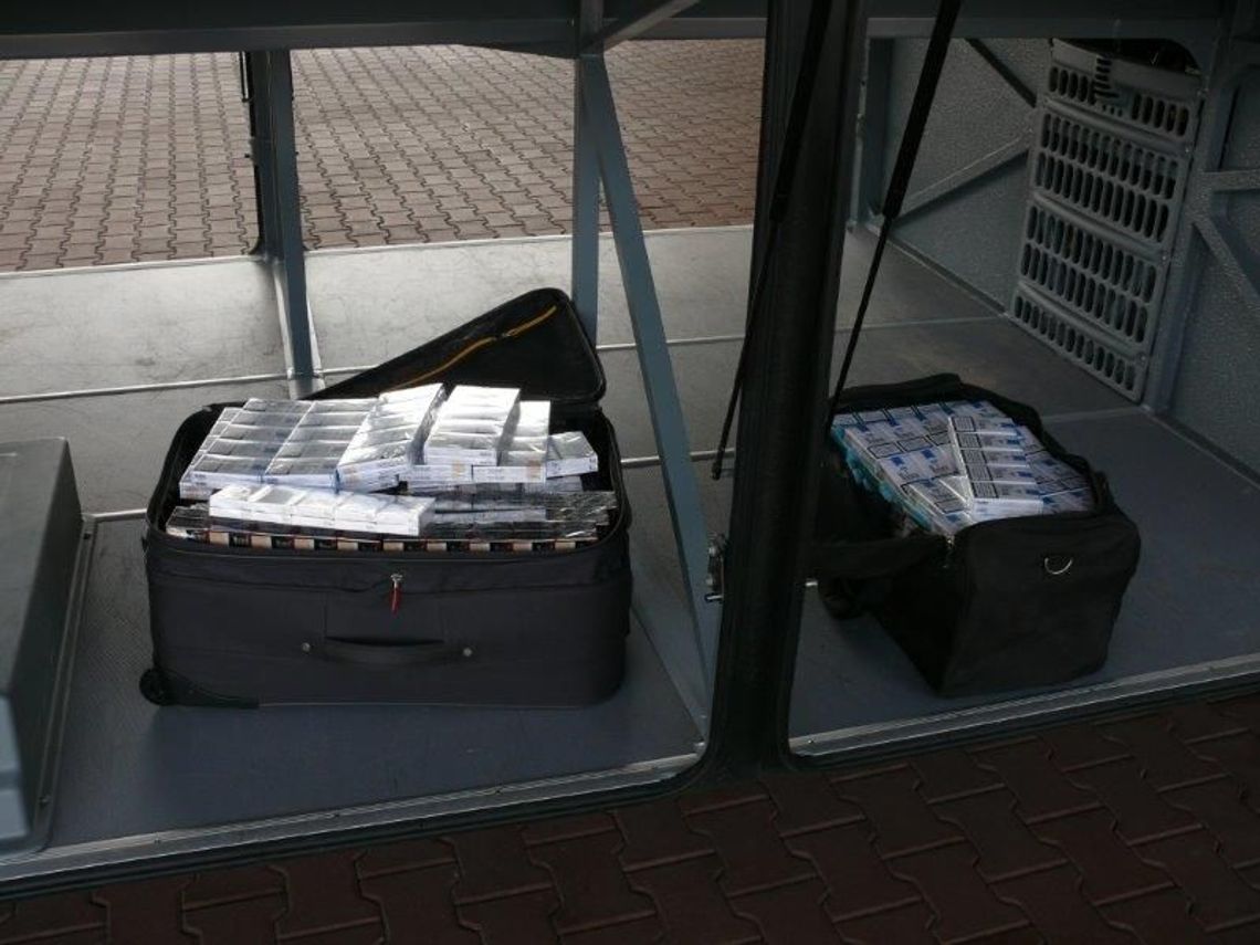Kierowcy autobusów wieźli nielegalne papierosy