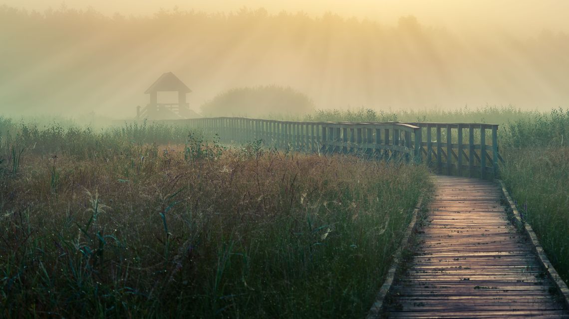 "Kierunek lubelskie krajobrazy". Oto najpiękniejsze zdjęcia i laureaci "Kierunek lubelskie krajobrazy". Oto najpiękniejsze zdjęcia i laureaci