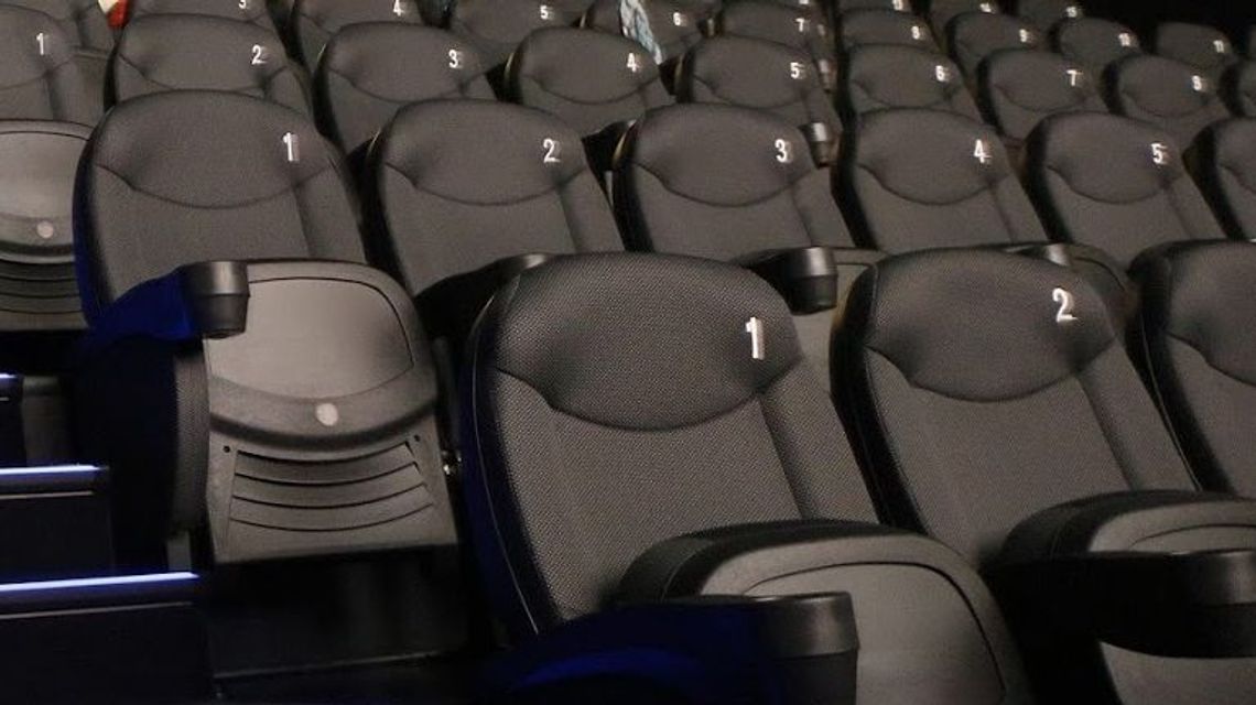 Kino podsumowało rok. Oto najpopularniejsze filmy [liczba widzów]