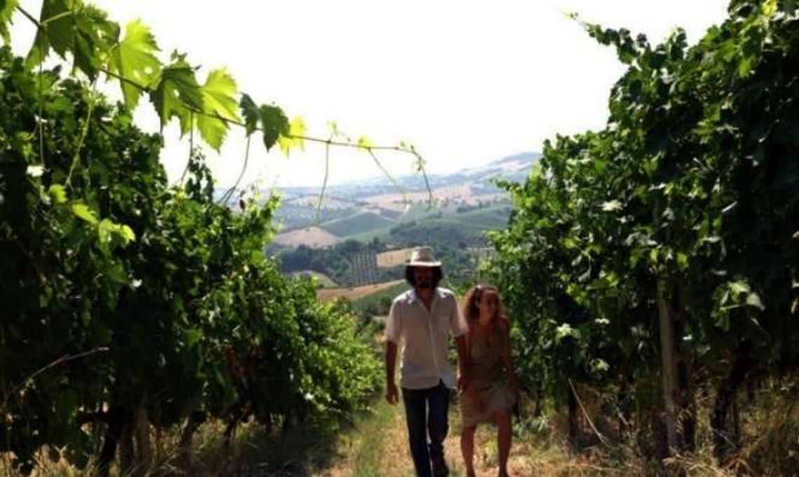 Kino: "Upór natury" w CSK