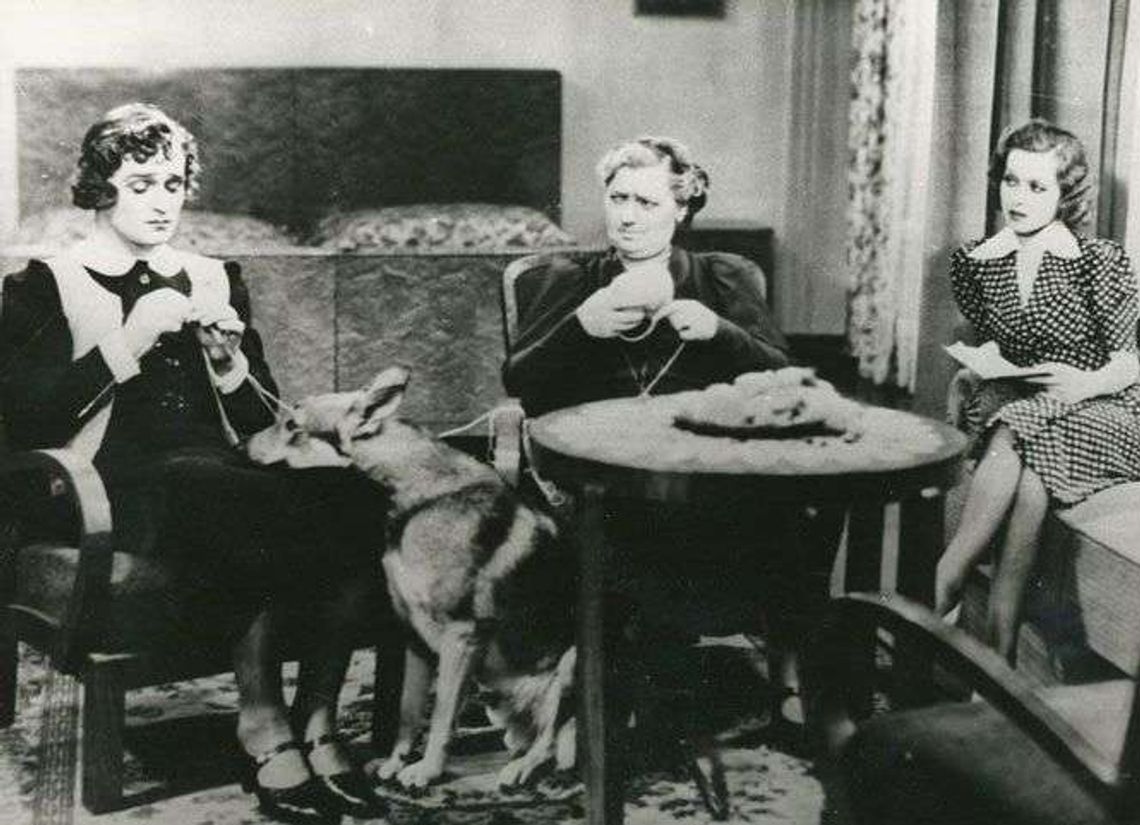 Kino w Bramie: „Niedorajda” i „Przerwanie działań wojennych”