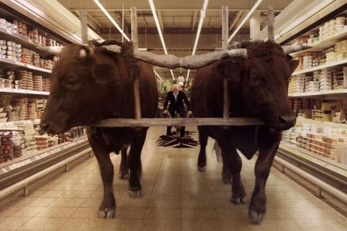 Kino w Teatrze Starym: "Onirica" Lecha Majewskiego. Spotkanie z reżyserem