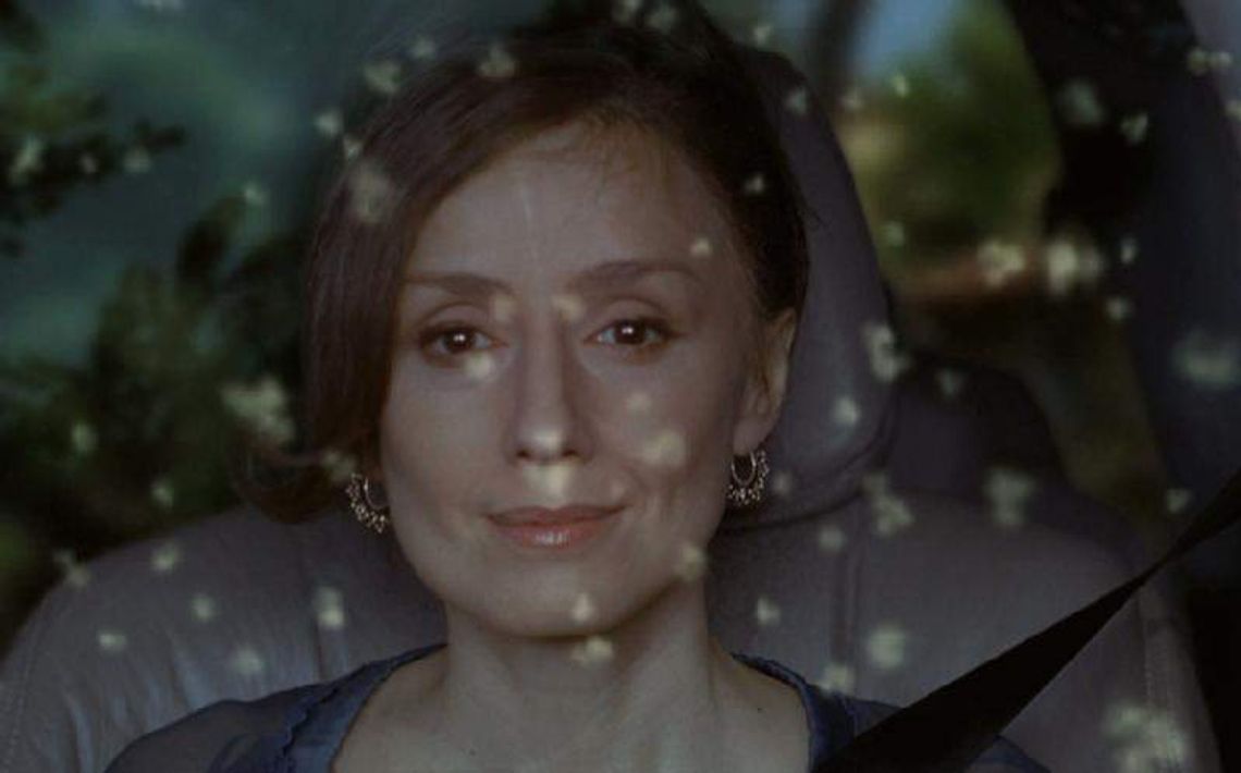 Kino za Rogiem: Tygrys i śnieg