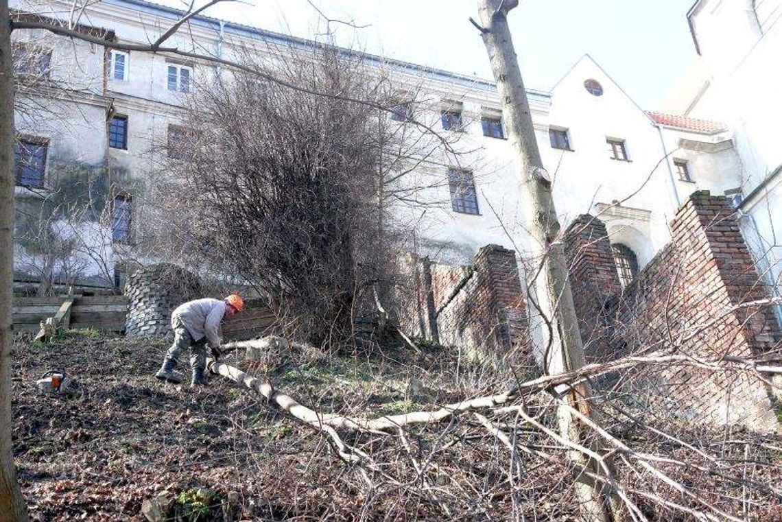 Klasztorne porządki. Piłą i łopatą