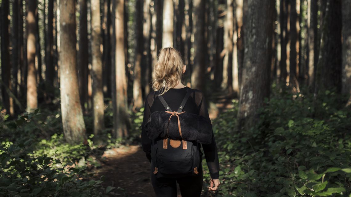 Kleszczowe zapalenie mózgu (KZM) – co to za choroba, przyczyny, objawy, profilaktyka i leczenie