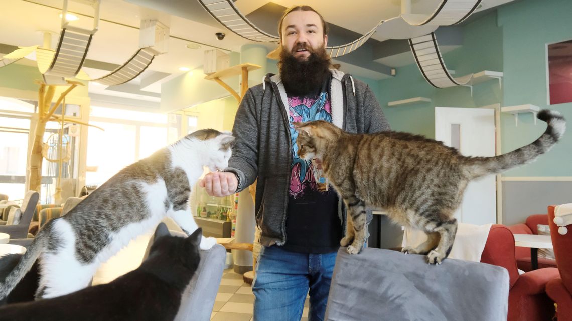 Klientów nie ma, koty zostały. "Na naszych gości oraz miłośników zwierząt zawsze można liczyć" Klientów nie ma, koty zostały. "Na naszych gości oraz miłośników zwierząt zawsze można liczyć"