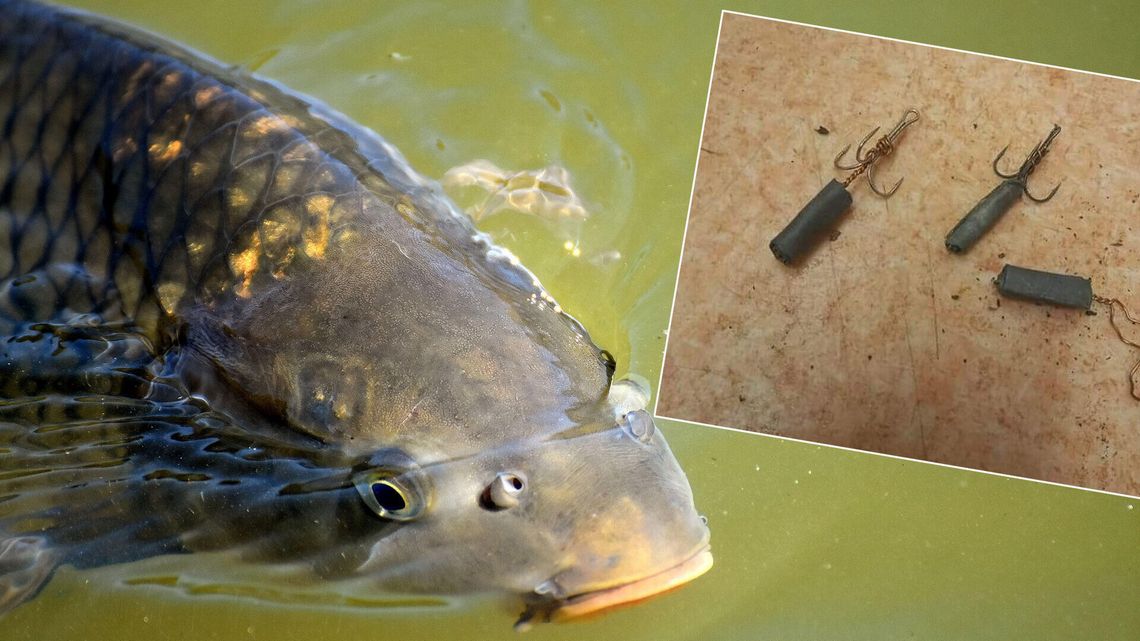 Kłusownicy przyłapani nad Wisłą. Używali barbarzyńskiej metody