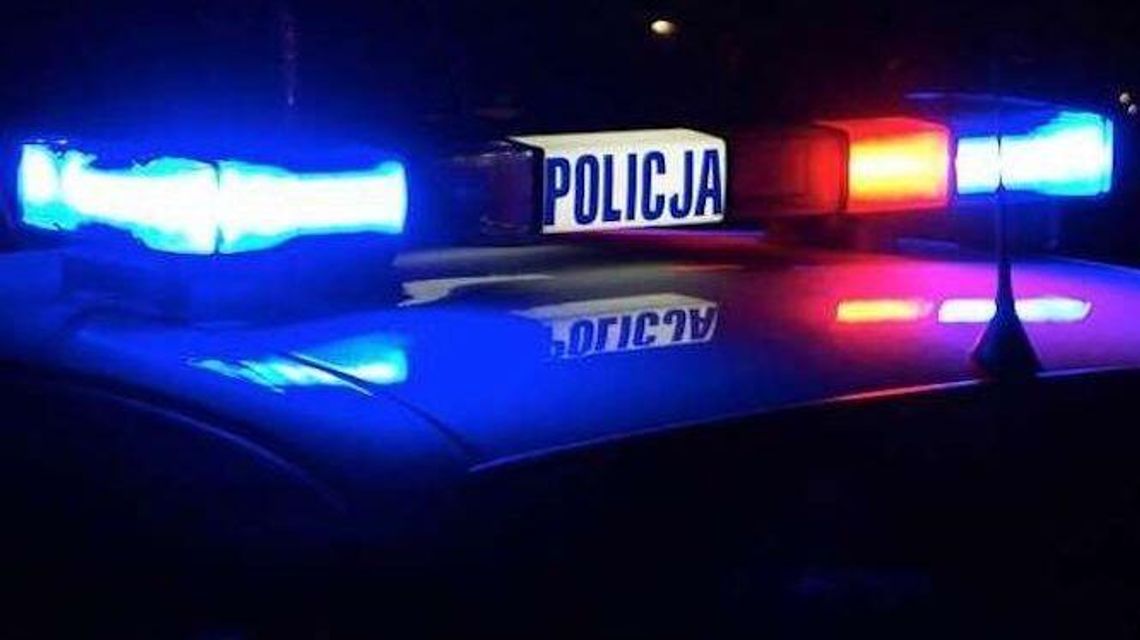 Kobieta zasłabła po użądleniu przez osę. Policjanci pilotowali auto Kobieta zasłabła po użądleniu przez osę. Policjanci pilotowali auto