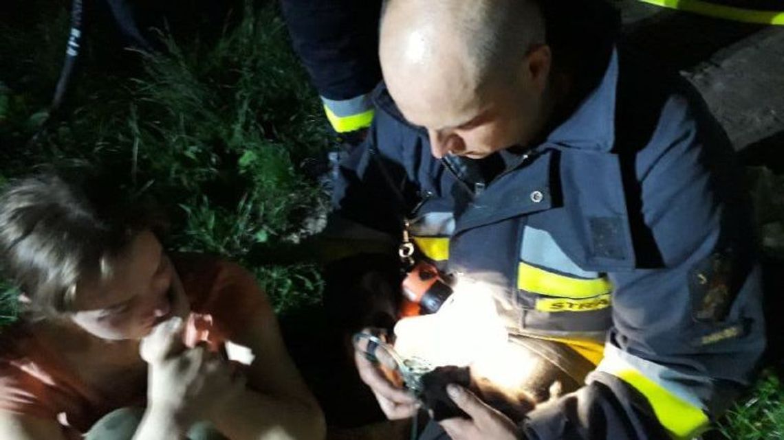 Kocię uratowane z pożaru domu w Lipsku. Trzeba mu było podać tlen