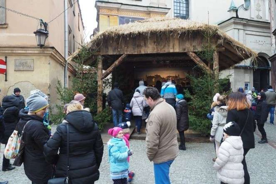 Kolędowanie przy szopce. Program koncertów