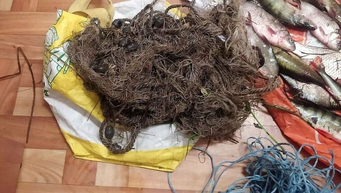 Kolega wiózł kolegę na ramie roweru. Ale to nie było ich największe przewinienie