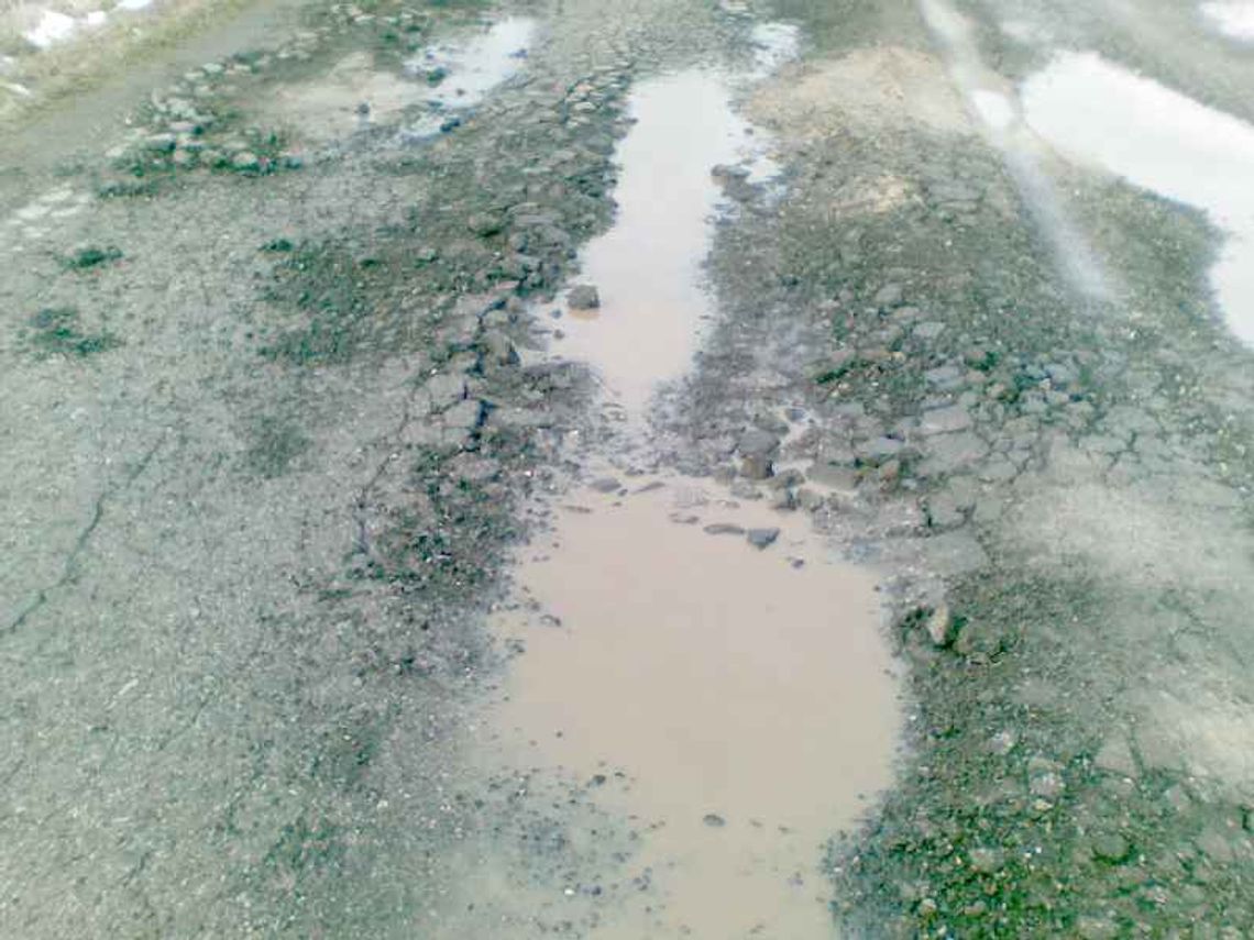 Koleiny i dziury, czyli kolejna kandydatka do tytułu miss