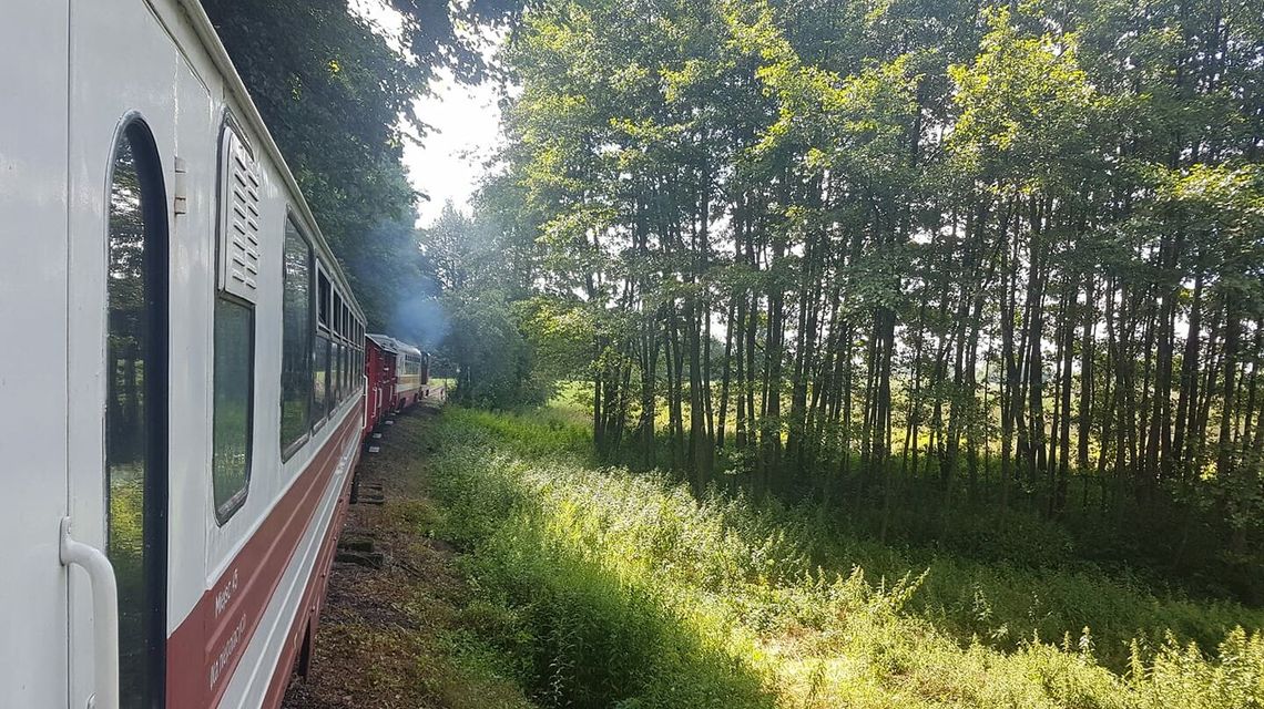 Kolej wąskotorowa hitem tego lata. Ma być nowa atrakcja
