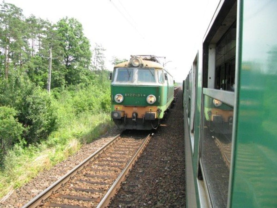 Kolejarze chcą wyciąć 400 drzew Kolejarze chcą wyciąć 400 drzew