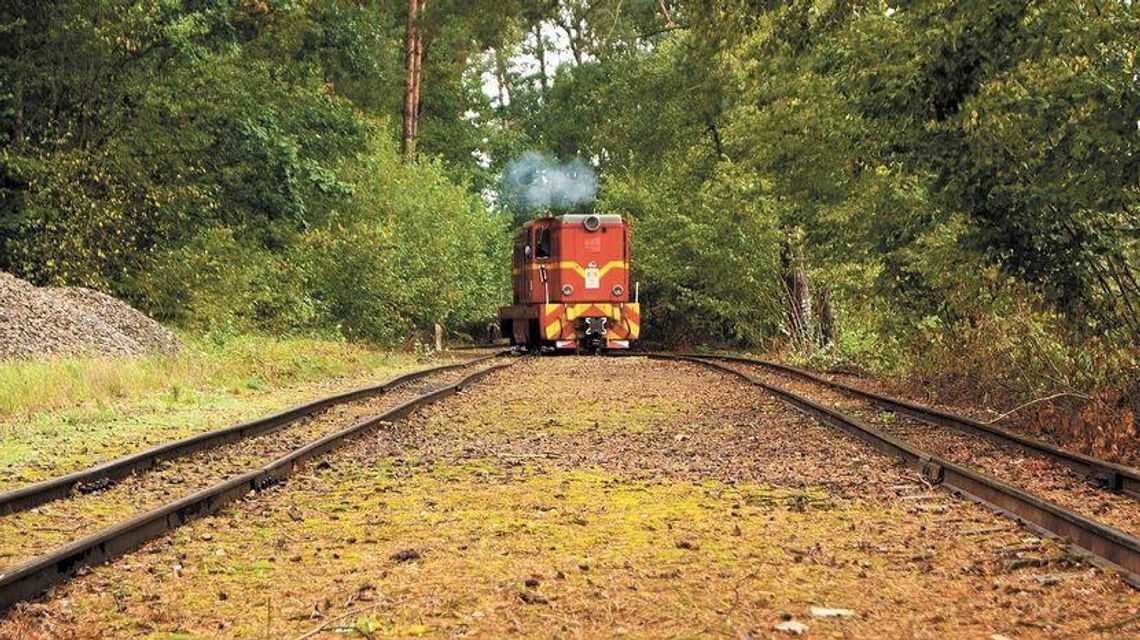 Kolejka wąskotorowa nie dojedzie do Nałęczowa. Samorząd zrezygnował z unijnej dotacji Kolejka wąskotorowa nie dojedzie do Nałęczowa. Samorząd zrezygnował z unijnej dotacji