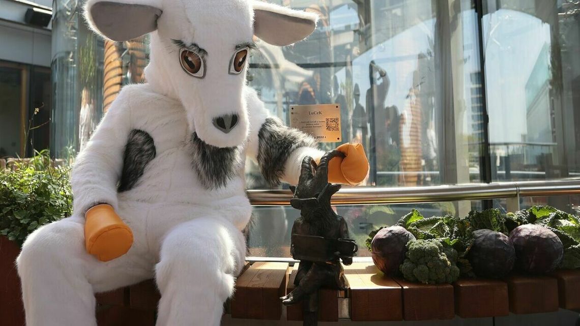 Kolejna figurka koziołka w Lublinie. To LuCeK