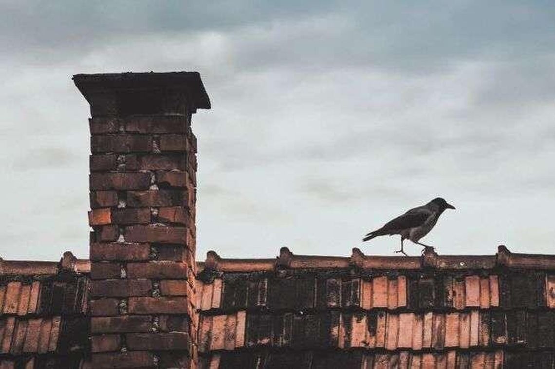 Kolejne dotacje na wymianę pieców jeszcze w tym roku?