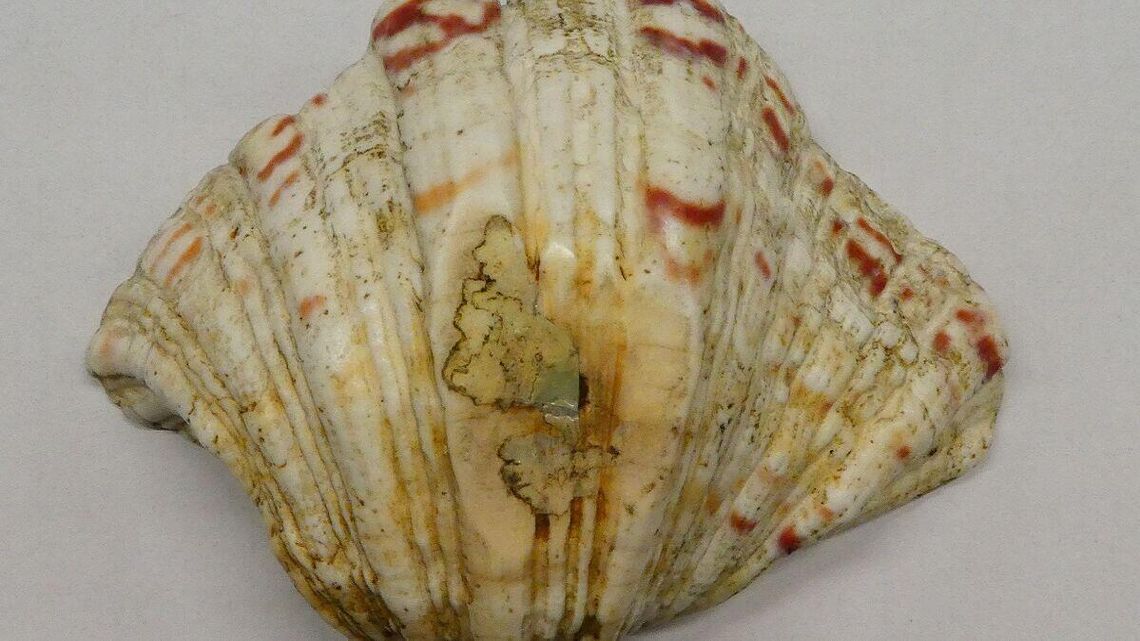 Kolejne nielegalne zatrzymane na granicy Kolejne nielegalne zatrzymane na granicy