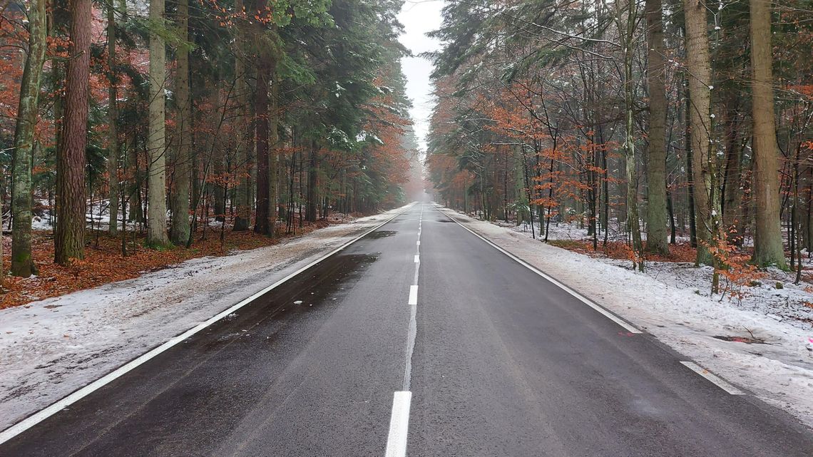 Kolizja wygody i przyrody. Kłopot z drogą do Zwierzyńca Kolizja wygody i przyrody. Kłopot z drogą do Zwierzyńca