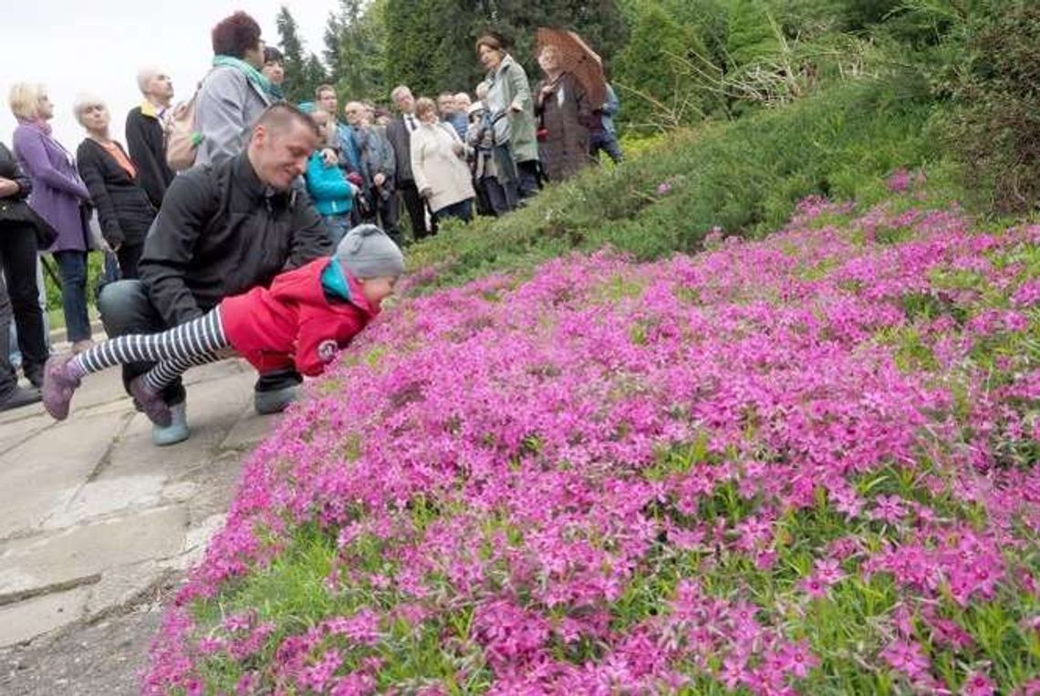 Kolorowe atrakcje w „botaniku”. Niedzielny spacer