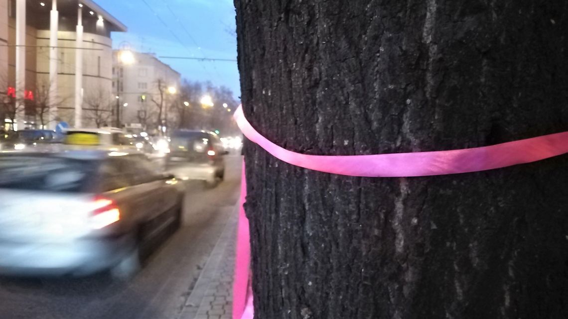Kolorowe wstążki na drzewach do wycinki przy ul. Lipowej w Lublinie Kolorowe wstążki na drzewach do wycinki przy ul. Lipowej w Lublinie