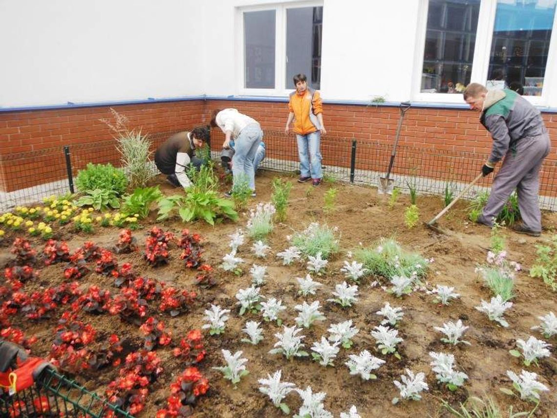 Kolorowo na osiedlach w Puławach. Wzięli kwiatki w swoje ręce