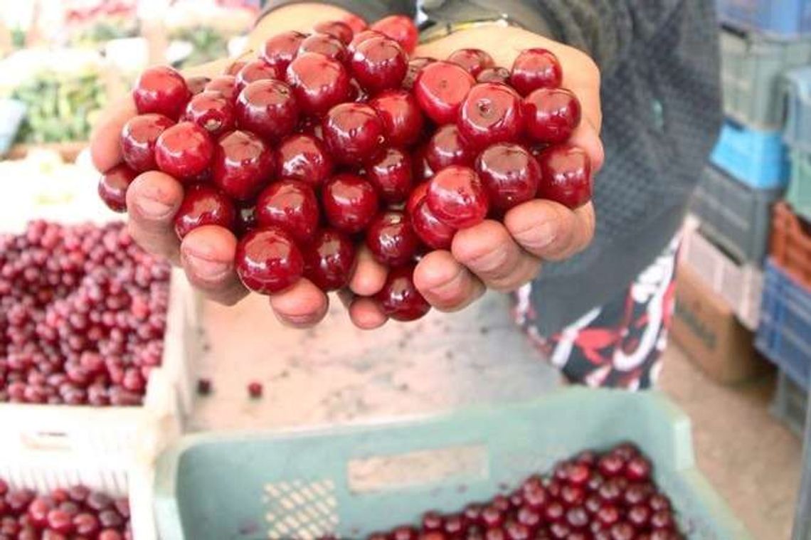 Kolorowy smak lata. Przepisy na dania z owocami