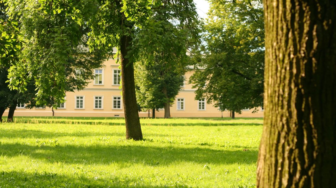 Komary muszą zginąć, ruszają opryski Komary muszą zginąć, ruszają opryski