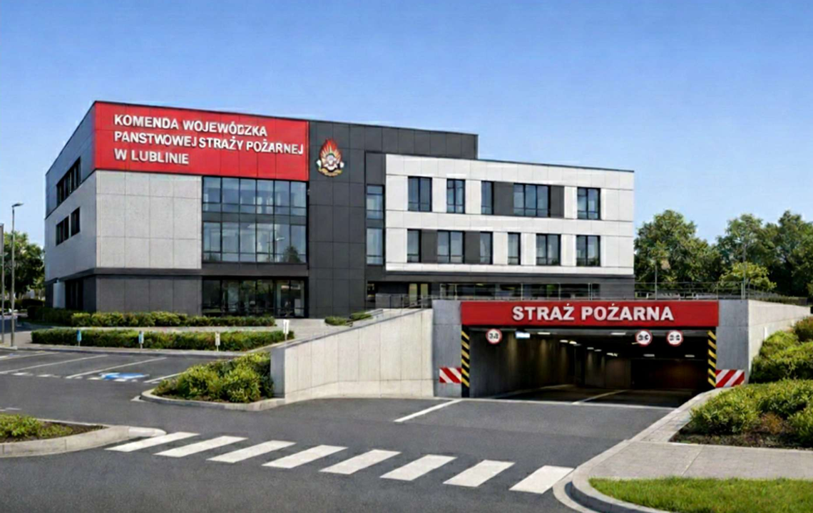 wizualizacja psp