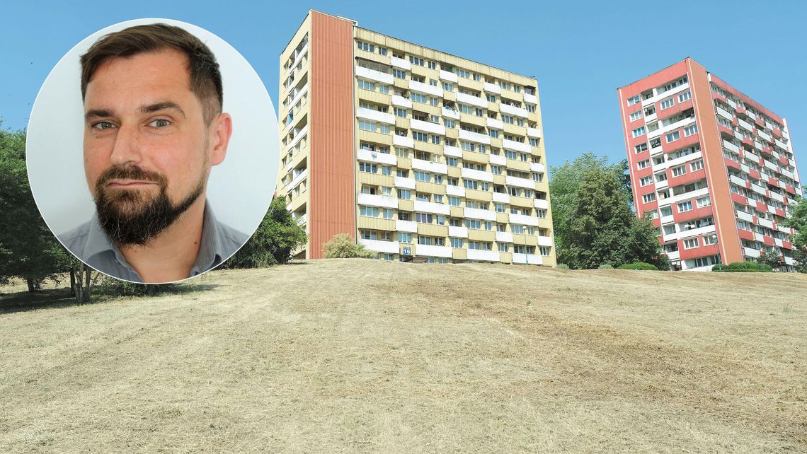 Komentarz: Mowa trawa, czyli pielęgnacja zieleni po lubelsku 