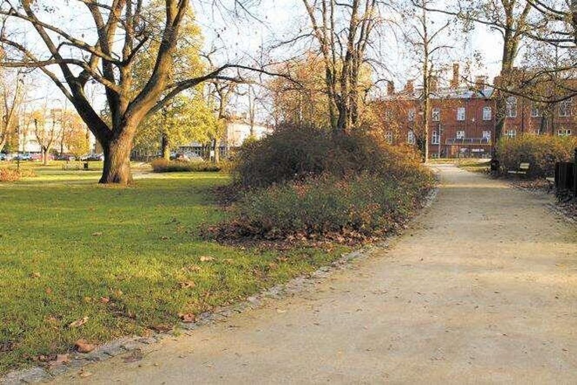 Komisja ustaliła, że krzewów jest za mało. Prezydent nie dosadzi, radny chce zrobić to sam