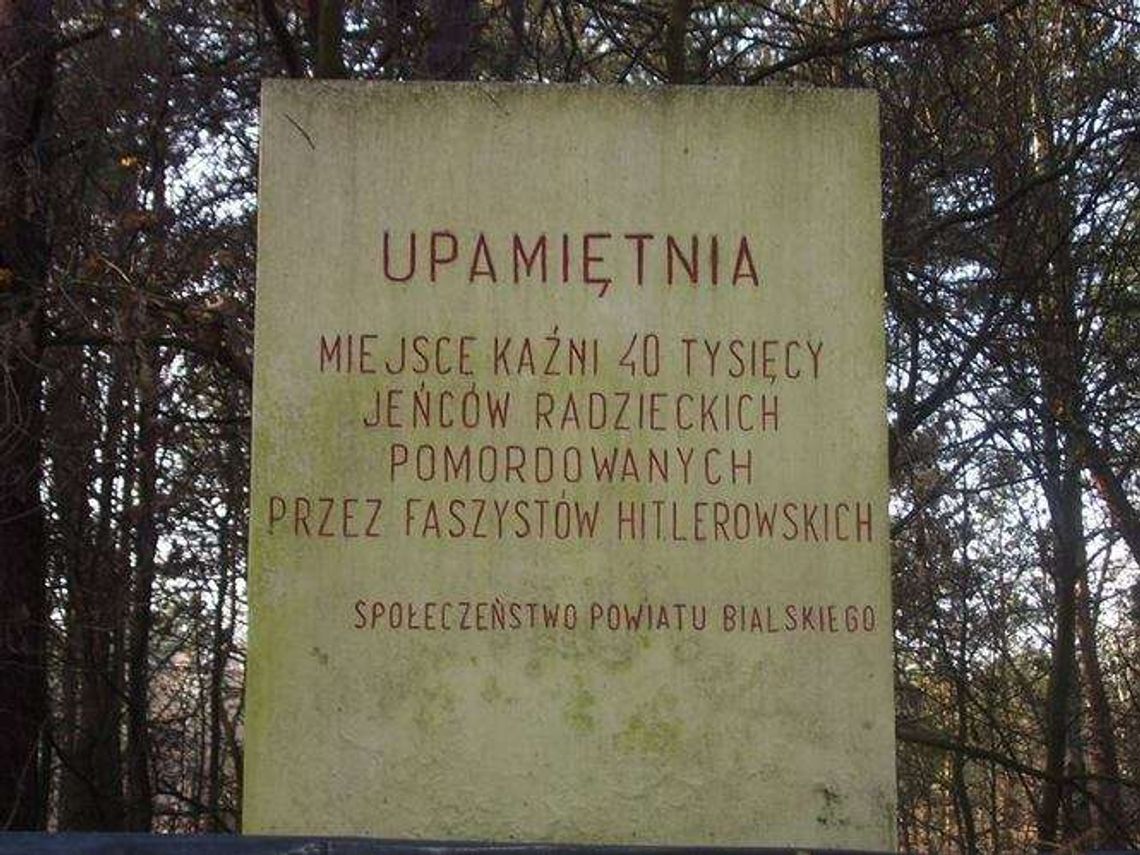 Komitet broni pomnika. Ale nikt nie chce go usuwać