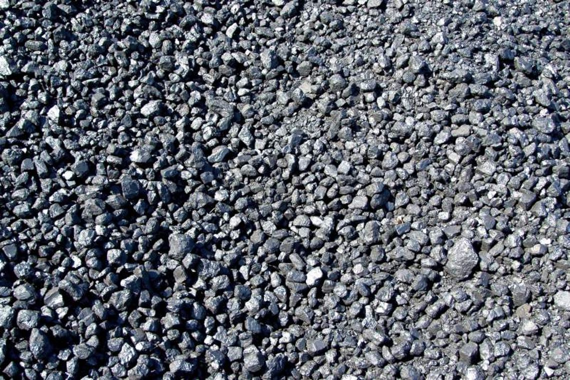 Kompania Węglowa czuje duży węgiel w rejonie Pawłowa