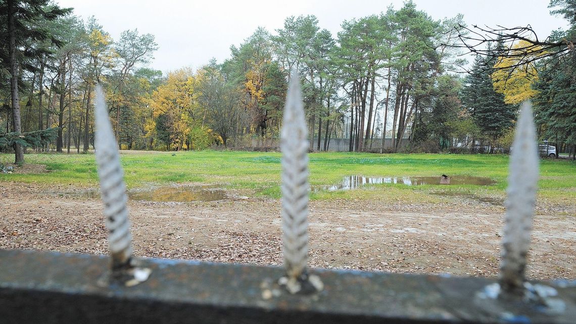 Kompleks basenów, lepszy dojazd do lotniska. Jest projekt budżetu Świdnika