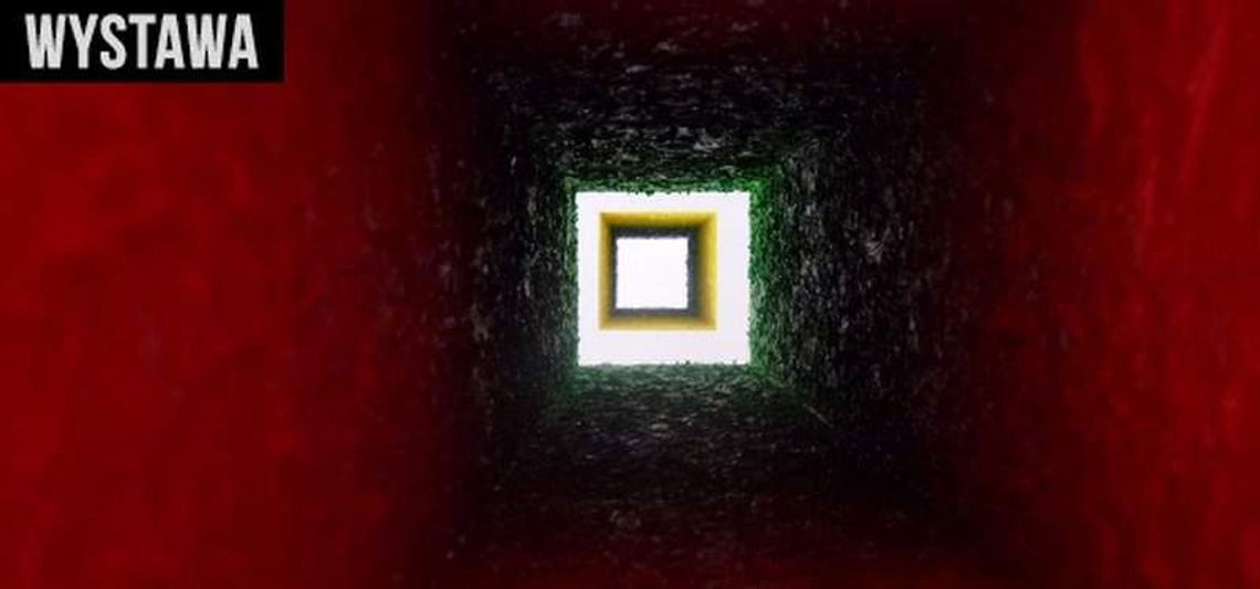 "Kompleksy i frustracje w Galerii Labirynt