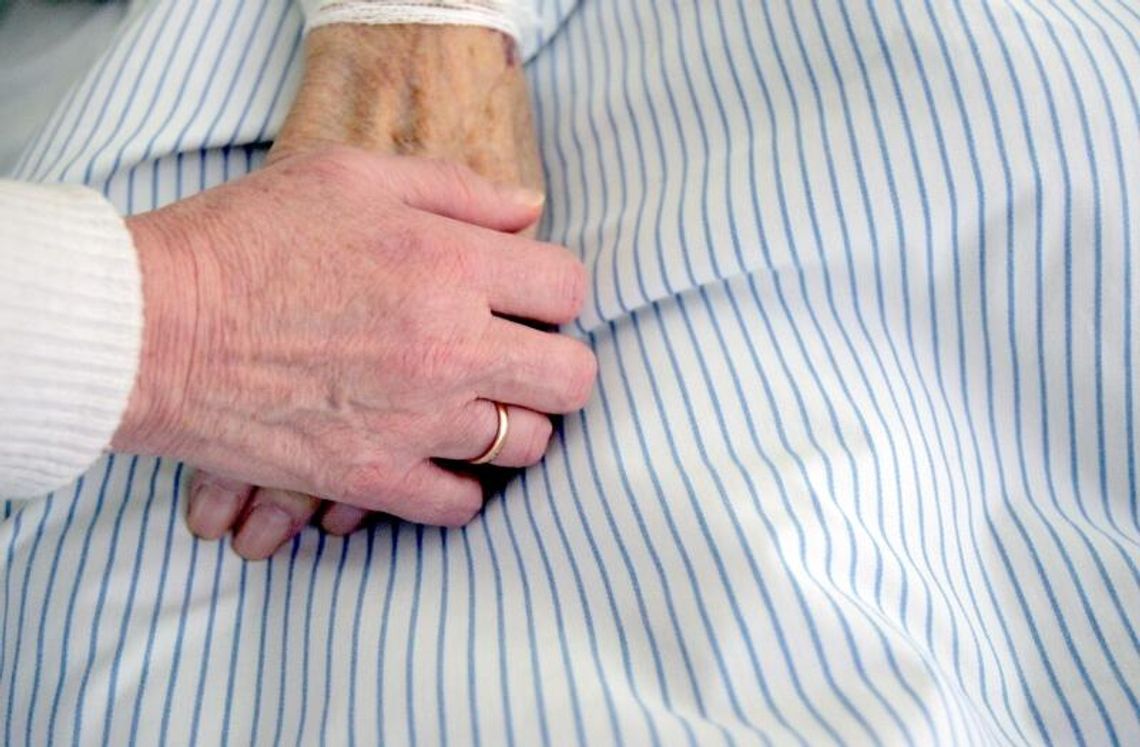 Komu daliśmy jeden procent