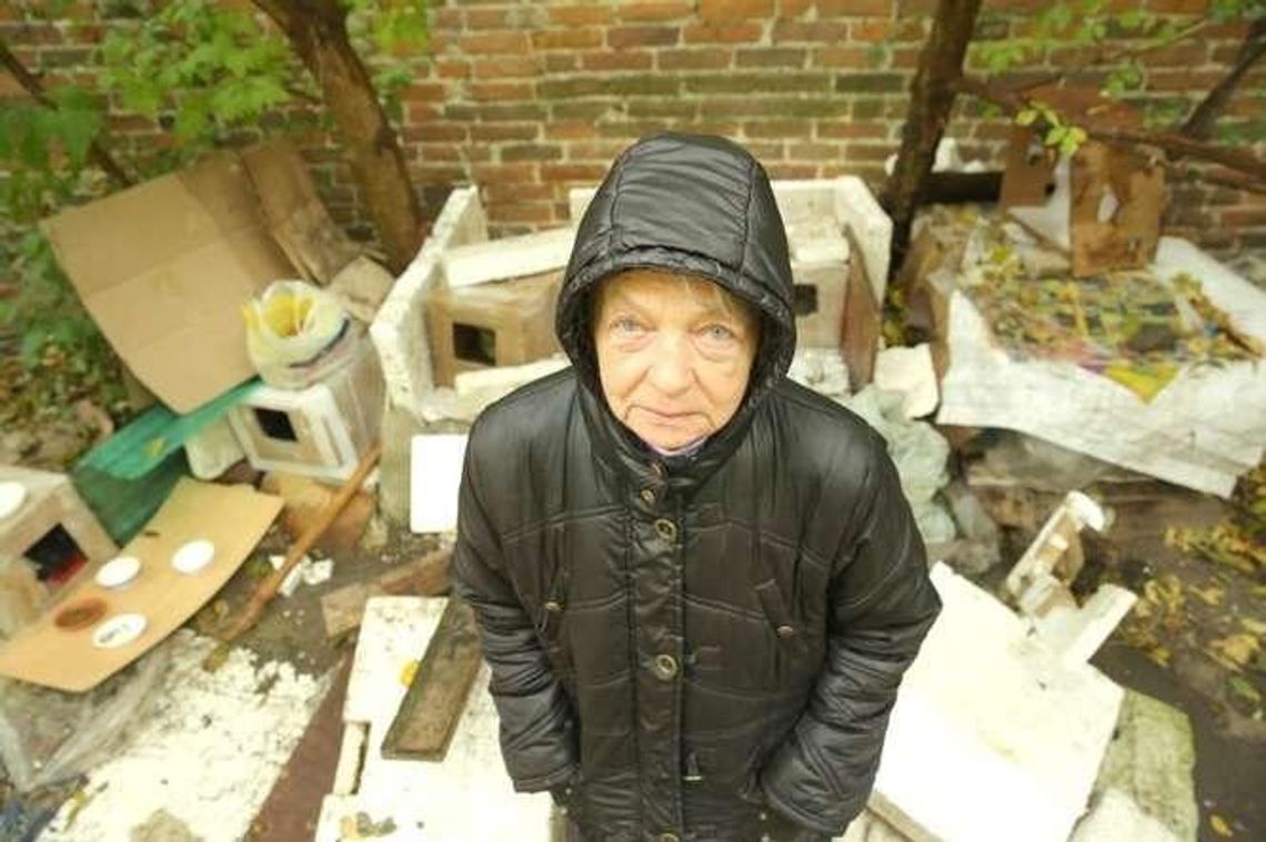 Komu przeszkadzały bezdomne koty na Bronowicach? Porozbijane budki, jedno zwierzę martwe