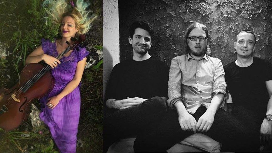 Koncert Freenology i Wera Kidżeski w Pubie u Szewca